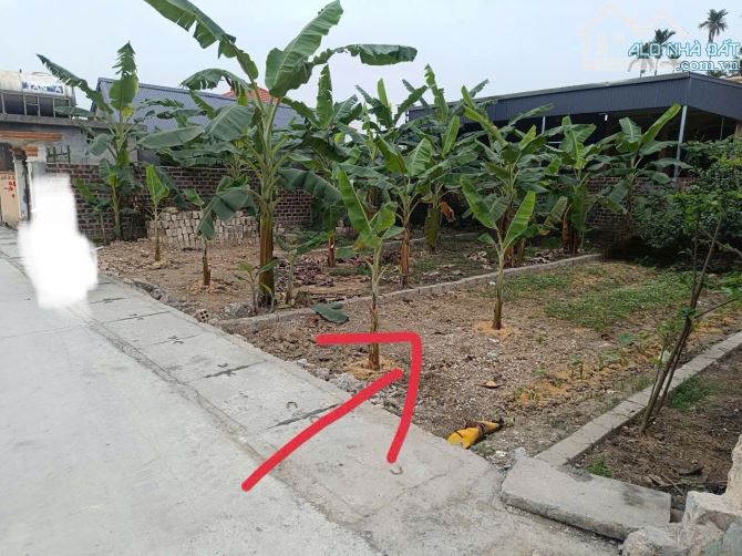 🍀 Chính chủ gửi bán lô đất trục thông 5m tại Hợp Thành - TP Thuỷ Nguyên - HP - 1
