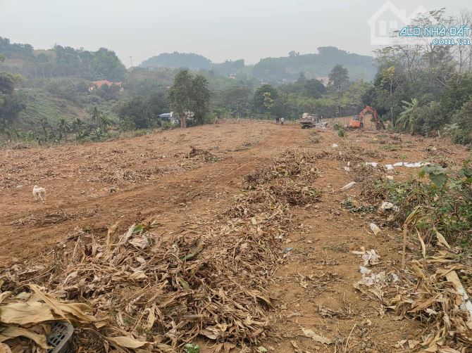 Chính chủ cần bán 658m2 đất tại Phú Lội, Minh Quang, Ba Vì - 1