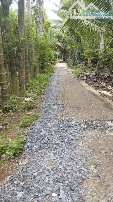 Bán 2500m2 đất vườn dừa có 200m2 thổ cư đường oto - 1