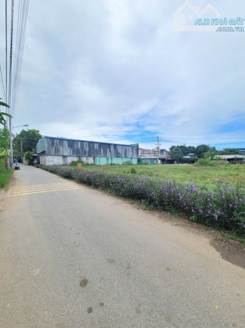 2,6Tỷ TL🔥Bán 2 lô đất 145,2m2 cách đường Tô Vĩnh Diện 100m, p.Tân Phước Khánh_Tp.Tân Uyên - 1