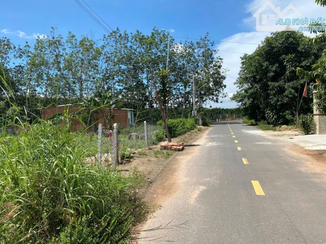 Chú Tám cần bán đất vườn trái cây sẳn nhà cấp 4 ở Bình Dương, rộng 2541m2, thổ cư, giá rẻ - 1