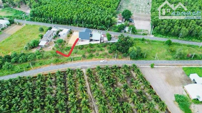 CHỦ NGỘP BANK CẦN RA GẤP LÔ ĐẤT NGANG 7 TẠI PHƯỚC HẢI, NGAY VÒNG XOAY 44B - 1
