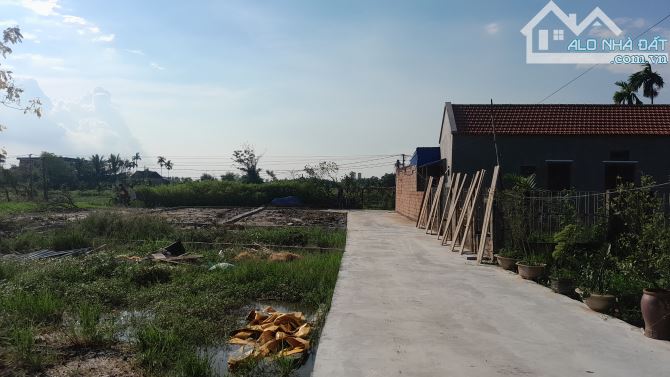 Bán Đất Hoa Động, Thủy Nguyên, HP. 2,45 tỷ, 78m2. - 1