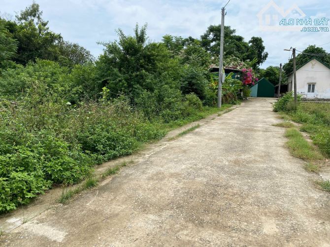 Gia đình em cần bán nhanh đất Nghi Đức, rẻ hơn giá thị trường - 1