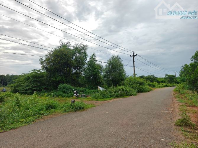 Đất 4700m² gần KDL Giang Điền – Quy hoạch thổ cư – Giá chỉ 4,4 tỷ (toàn bộ). - 1