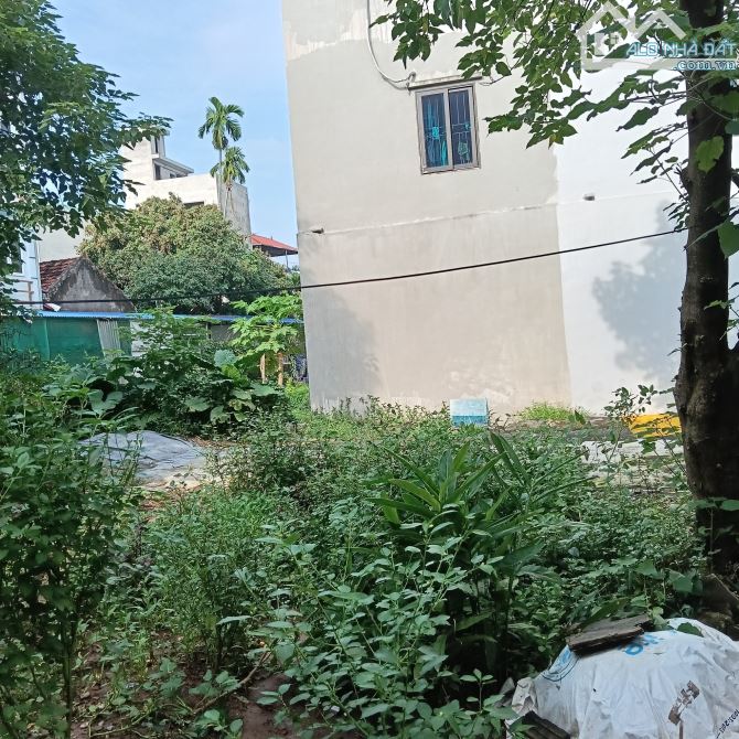 ĐẤT PHÚC THÀNH BIÊN GIANG HÀ ĐÔNG, 43M, MT3,2M, GIÁ 3,2 TỶ - 1
