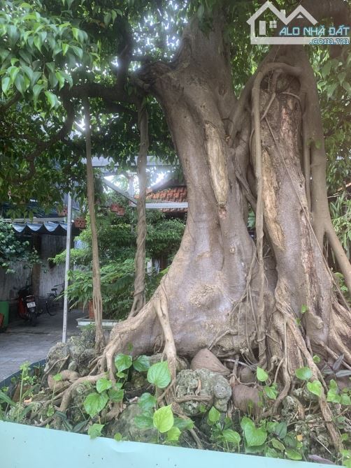 🌟 SIÊU PHẨM ĐẤT MẶT TIỀN LÊ HỮU TRÁC – VỊ TRÍ ĐẮC ĐỊA 🌟  📐 Diện tích: 285m² – ngang 10m - 1