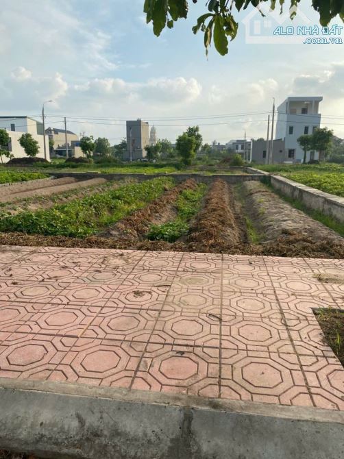 Bán nhanh lô đẹp TĐC Vũ An ,kiến xương - 1