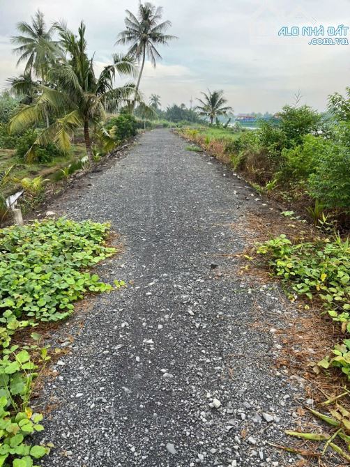 Đất vườn Bến Lức 1000m2 chỉ 750tr giảm gấp đường ô tô đã đào ao cắm cọc sẵn - 1