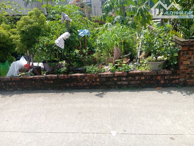 Lô đất siêu hót chỉ ba bước ra đường QL23B, Cầu vượt nam hồng đông anh HN giá hấp dẫn - 1