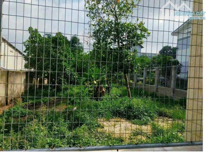 Bán đất đấu giá khu Lai Xá Hoài Đức Sát ĐH Thành Đô 75m chỉ 12,2 tỷ - 1