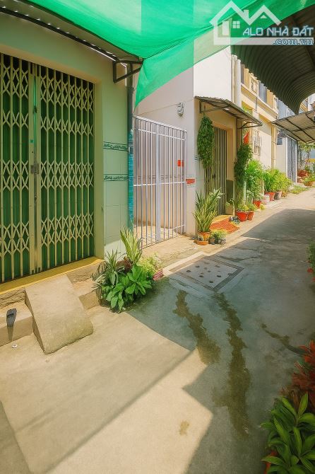 Bán Đất Có Dòng Tiền 101m² Ngang Khủng 8m Có Sẵn 6 Phòng Trọ, Vị Trí Trung Tâm TNP A - 1
