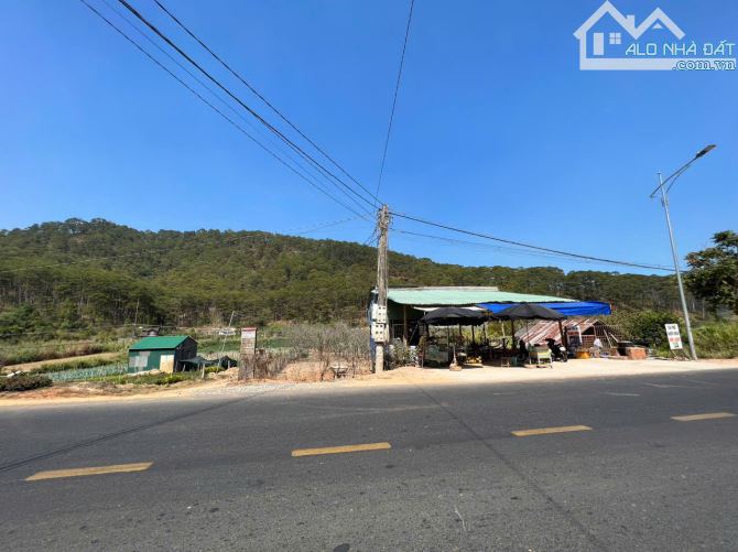 BÁN ĐẤT 2 MẶT TIỀN - ĐƯỜNG CHÍNH MIMOSA - VỊ TRÍ ĐẸP VIEW THOÁNG NGANG 20MET - 1