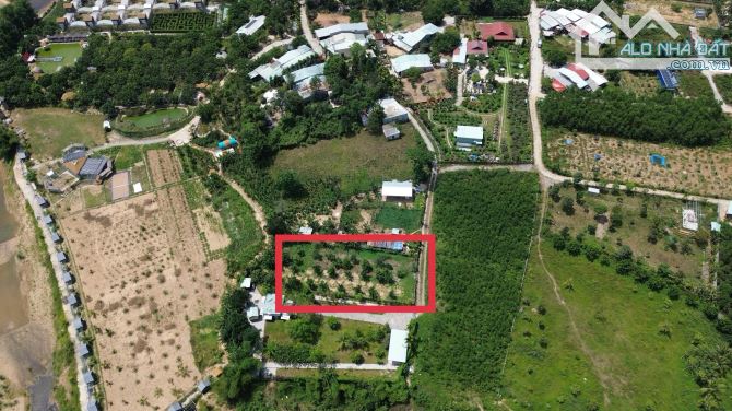 Bán khu vườn bưởi 900m2 đất trồng cây hằng năm trên hòa ninh - 2