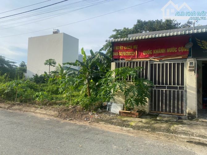 BÁN ĐẤT TẶNG 2 PHÒNG TRỌ MỚI TIN 86,2M2(6,6X13,12) 4TỶ950 - 2