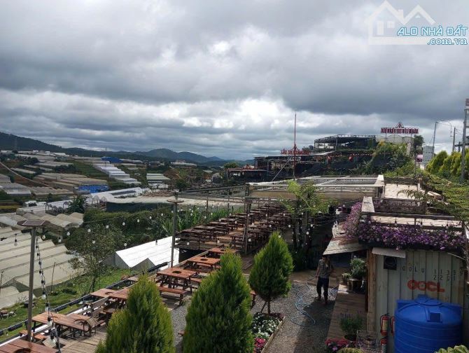 Bán Đất Kqh Huỳnh Tấn Phát, Phường 11, Tp. Đà Lạt – Vị Trí Gần Xóm Lèo, View Đồi Thông Thơ - 2