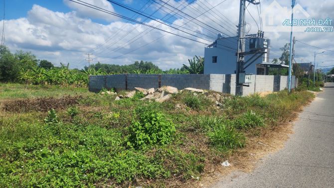 21x49(1000m2) Lê Văn Tám Tân An LaGi Giá Cực Rẻ Chỉ 4,2tr/m2 - 2