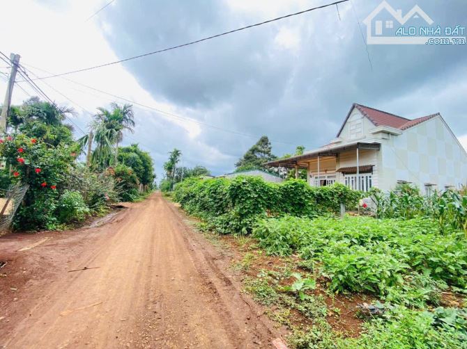 🔥 ĐẤT CUÔC ĐĂNG GIÁP HOÀ THUẬN 5x50 NGAY SAU TRẠM DỪNG CHÂN HOÀN NGHĨA - 2