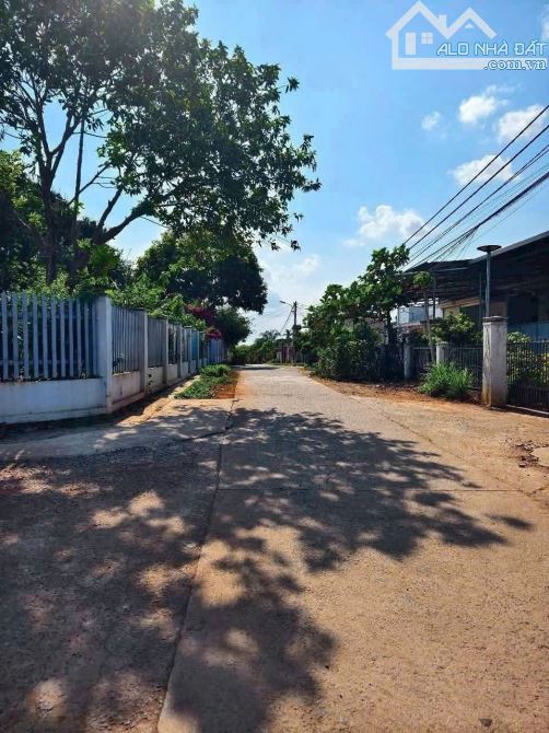 Đất hẻm trần nhân tông khánh xuân - 2