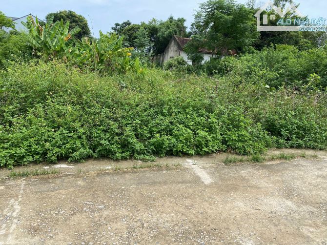 Gia đình em cần bán nhanh đất Nghi Đức, rẻ hơn giá thị trường - 2