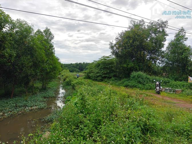 Đất 4700m² gần KDL Giang Điền – Quy hoạch thổ cư – Giá chỉ 4,4 tỷ (toàn bộ). - 2