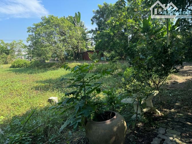 ĐẤT VEN SÔNG RỒNG NHÀ BÈ 36x90m ĐƯỜNG Ô TÔ GIÁ CỰC TỐT - 2