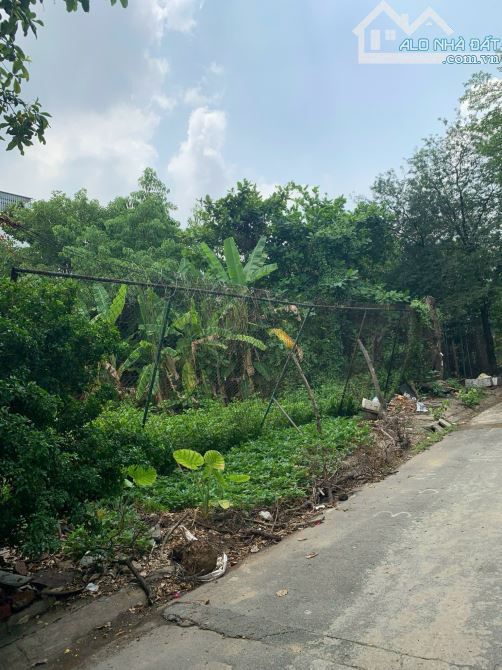Bán đất trống Bình An, Quận 2 – Diện tích 305m², sổ hồng riêng, giá 47,5 tỷ TL - 2