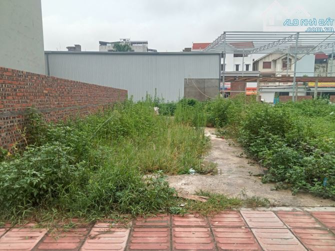 Khu phân lô tại CỰ KHỐI LONG BIÊN - 220m đất MT 14m vỉa hè kinh doanh - giá chỉ 30tỷ. - 2