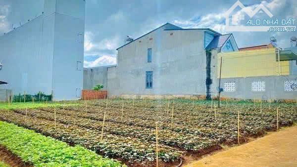 CHỈ HƠN 3 TỶ CÓ NGAY LÔ ĐẤT 280M2 NGAY NASA - ĐỨC TRỌNG - LÂM ĐỒNG - 2