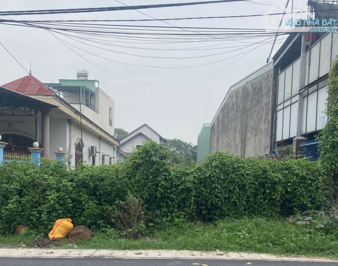 Bán Đất MT Đường Cao Thị Đáo – Vị Trí Trung Tâm Xã Bình Mỹ (Mới), Củ Chi, 318m² Thổ Cư100% - 2