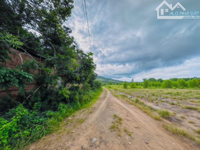 🌿 BÁN ĐẤT - (6x30) - FULL THỔ - 310 TRIỆU 🌿 - 2