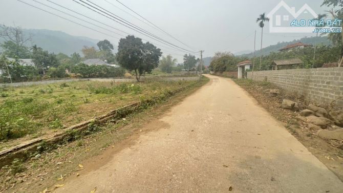 Cả huyện còn duy nhất một lô đẹp như thế này, hơn 1000m2, mà giá rẻ như bún - 2