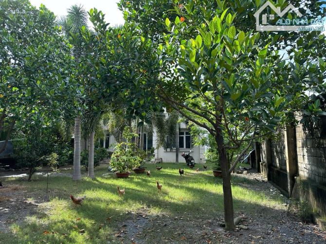 Nhà 9x35m full thổ cư, mặt đường nhựa ngã tư Hóc Môn, Lý Thường Kiệt - 2
