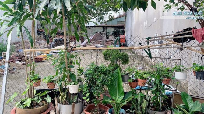 BÁN ĐẤT TÂN PHÚ – HẺM XE HƠI 4.5M NGUYỄN HỮU TIẾN – 83M² NGANG 4.1M VUÔNG A4 – GIÁ 6.7 TỶ - 2
