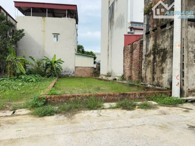 Bán Gấp! Đất 2 Mặt Thoáng Hiếm Có Tại Chi Đông - Mê Linh, Chỉ 4.05 Tỷ - 2