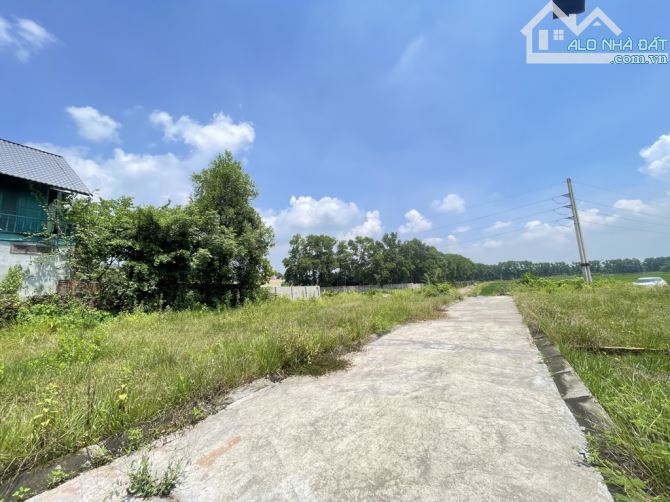 🏡 BÁN ĐẤT ĐẸP TẠI PHÙ LINH – SÓC SƠN, GIÁ CHỈ 1,4 TỶ - 2
