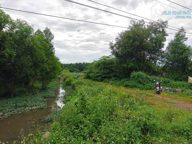 CC005 Cần Bán gấp 4700m2 quy hoạch thổ cư, gần KDL GIANG ĐIỀN. Chỉ còn 4,4 tỷ (tất cả) - 2