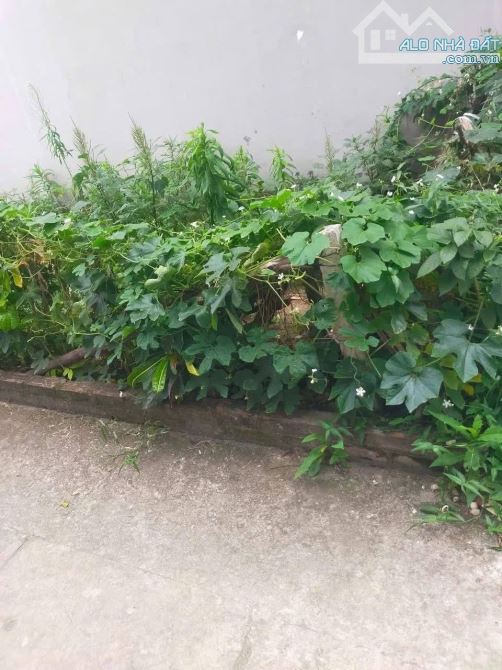 LÔ ĐẤT ĐẸP YÊN NGHĨA HÀ ĐÔNG - 35M NGÕ THÔNG - Ô TÔ VÀO ĐẤT - GIÁ 3.6 TỶ - 2