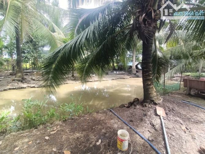 Bán Đất 20x28 Long Đức gần chợ Sóc Ruộng - 2