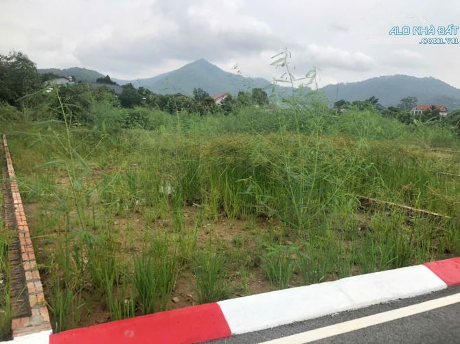 LÔ ĐẤT ĐẸP MẶT TIỀN TO TẠI PHÚ THỊNH MINH PHÚ SÓC SƠN DIỆN TÍCH 100M2 - 2