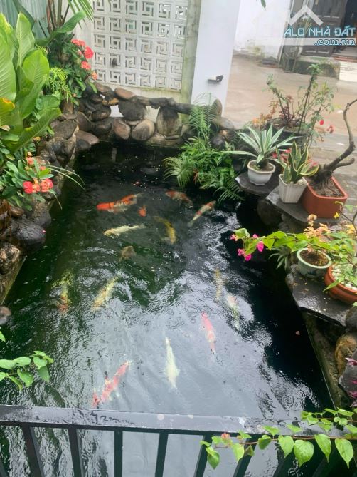 🌈 RẤT THIỆN CHÍ BÁN GIÁ HỢP LÝ.Đ.TRẦN ĐÌNH TRI.P.HOÀ MINH.Q.LIÊN CHIỂU.TP.ĐÀ NẴNG. - 2
