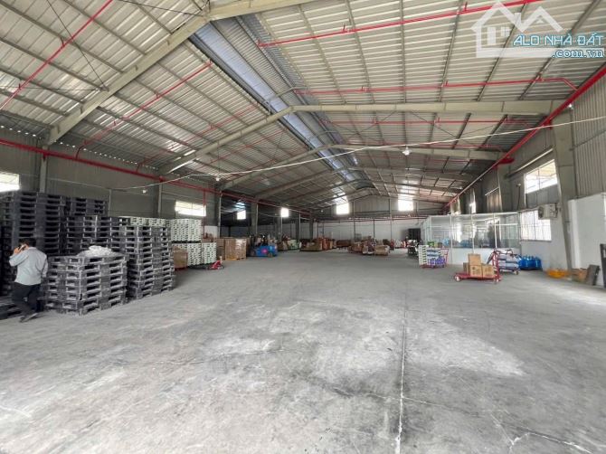 Cho Thuê Xưởng Mặt Tiền 2.200m2 Trần Cao 10m - Giá Cực Tốt - 3