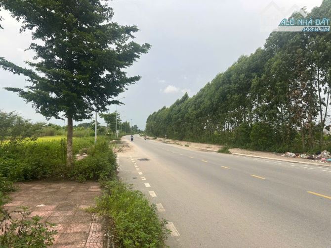 Bán Nhanh  Lô đất Biệt Thự Khúc Xuyên Nhìn Trung Tâm Thương Mai - 3