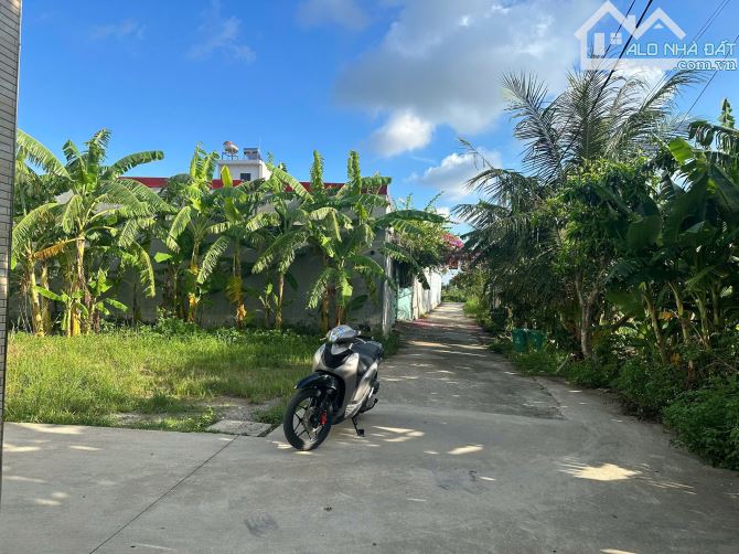 47m2 chợ Hương, Hưng Đạo, Dương Kinh - 3