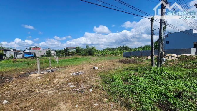 21x49(1000m2) Lê Văn Tám Tân An LaGi Giá Cực Rẻ Chỉ 4,2tr/m2 - 3