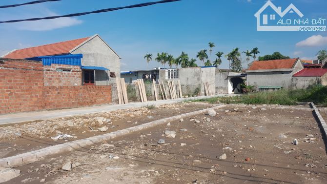 Bán Đất Hoa Động, Thủy Nguyên, HP. 2,45 tỷ, 78m2. - 3
