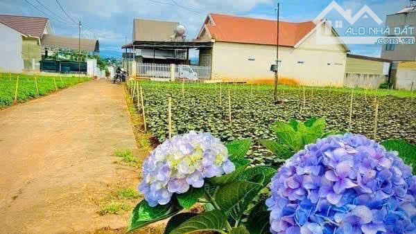 CHỈ HƠN 3 TỶ CÓ NGAY LÔ ĐẤT 280M2 NGAY NASA - ĐỨC TRỌNG - LÂM ĐỒNG - 3