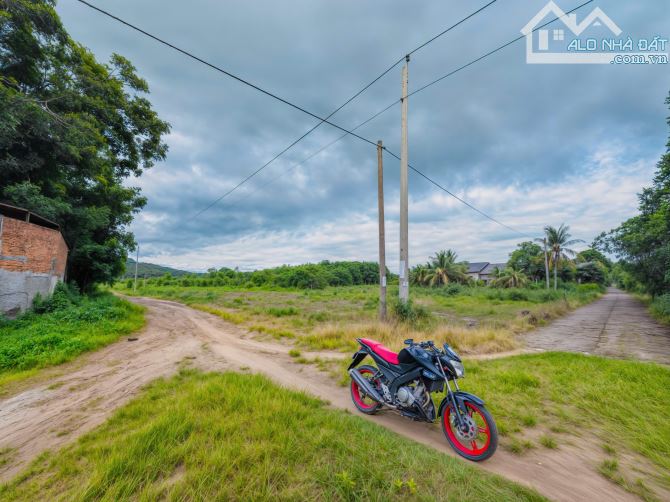 🌿 BÁN ĐẤT - (6x30) - FULL THỔ - 310 TRIỆU 🌿 - 3