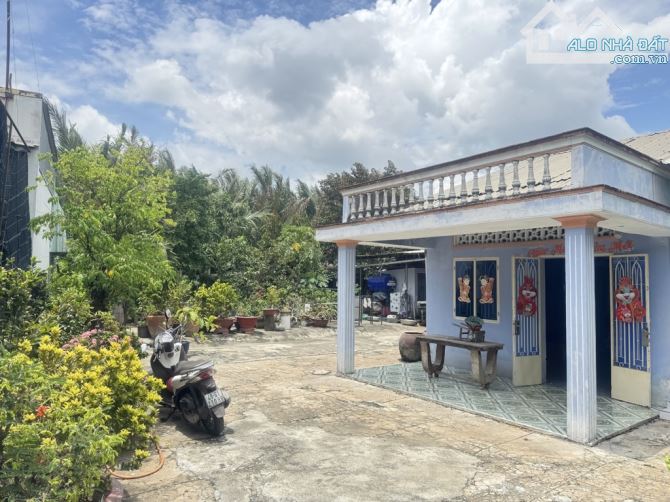 Nhà 9x35m full thổ cư, mặt đường nhựa ngã tư Hóc Môn, Lý Thường Kiệt - 3