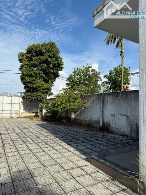 Nhà đất bán-1650m2–245m2 thổ cư – nhà kiên cố-sổ hồng-Củ Chi - 3
